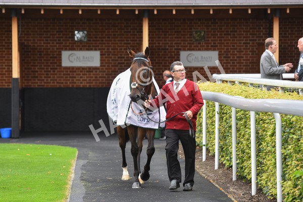 yr20082021r4-50 - Race 4 3.35pm Coolmore Wootton Bassett Nunthorpe Stakes (British Champions Series Race)