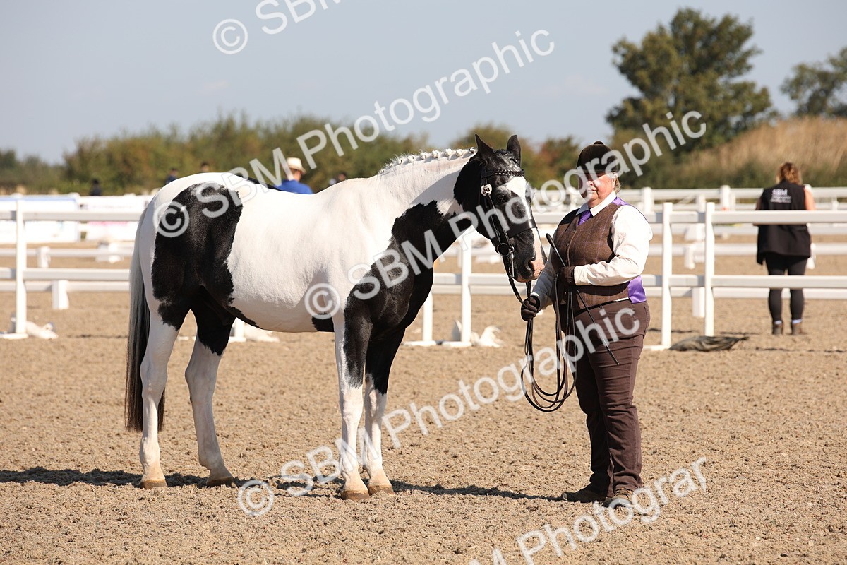 SBM_01558 - Class 15 IH Coloured