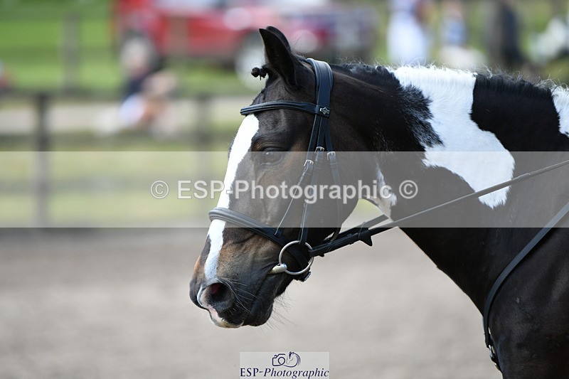 240825X-100401-30894 - 70cm SJ 9.15 to 10.21