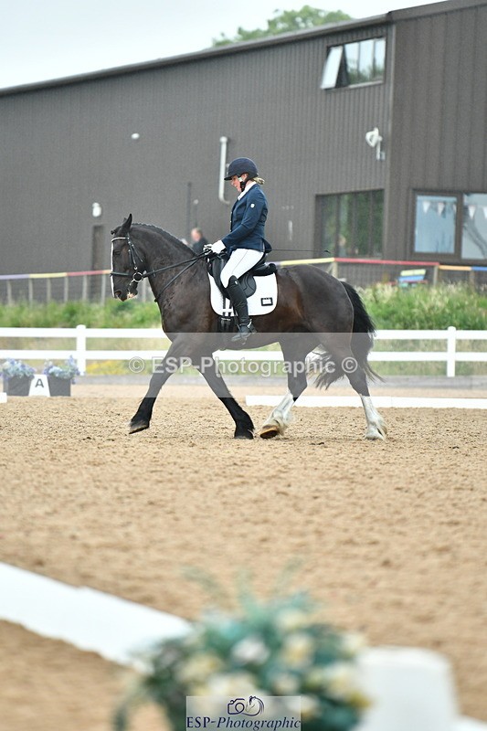 230630A-125622-02252 - Cls 8 Elementary 57