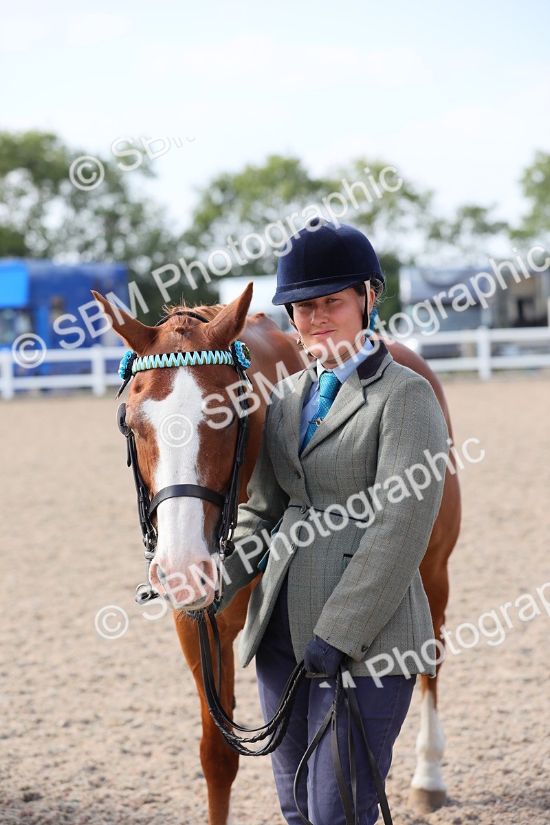 SBM_15767 - Class 312 IH Competition Horse/Pony