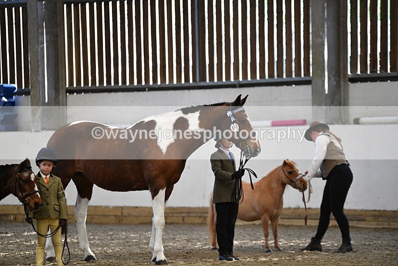 WJ5_3535 - Class 5 In Hand Veterans