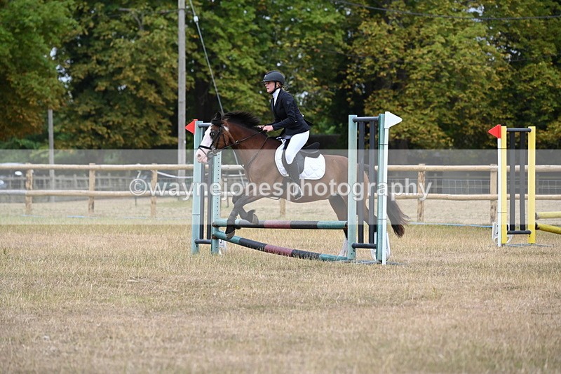 WJ6_0233 - Class 13 Novice Jumping 60cm