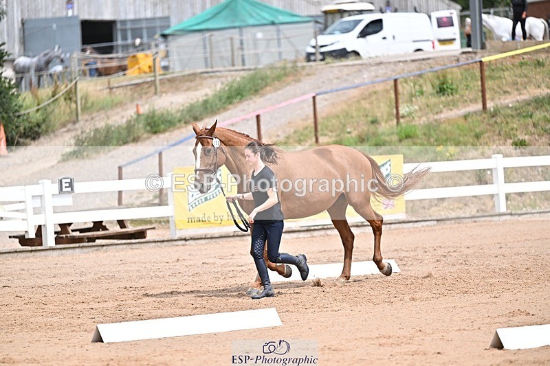 250716-132119-00454 - Trot Up 12.30 to 1.30