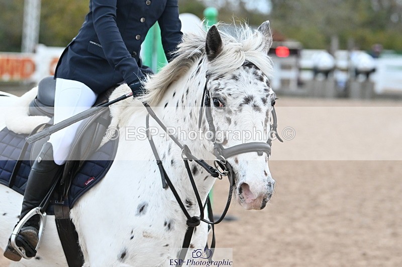 231119A-092741-04608 - Sun Cls 3 BlueChip Pony Discovery Qualifier