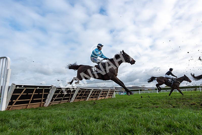 161125-Race 1-Soldier Reeves-2915 - Race 1