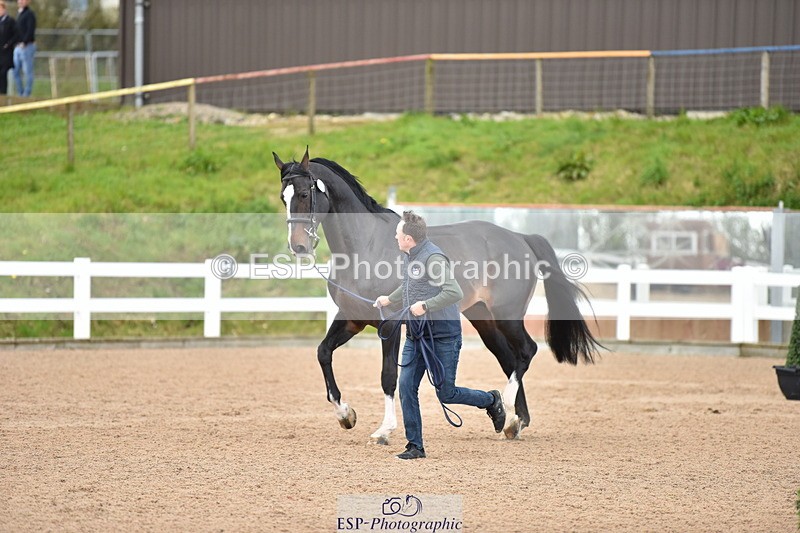 240417A-145240-00651 - 2pm to 3pm