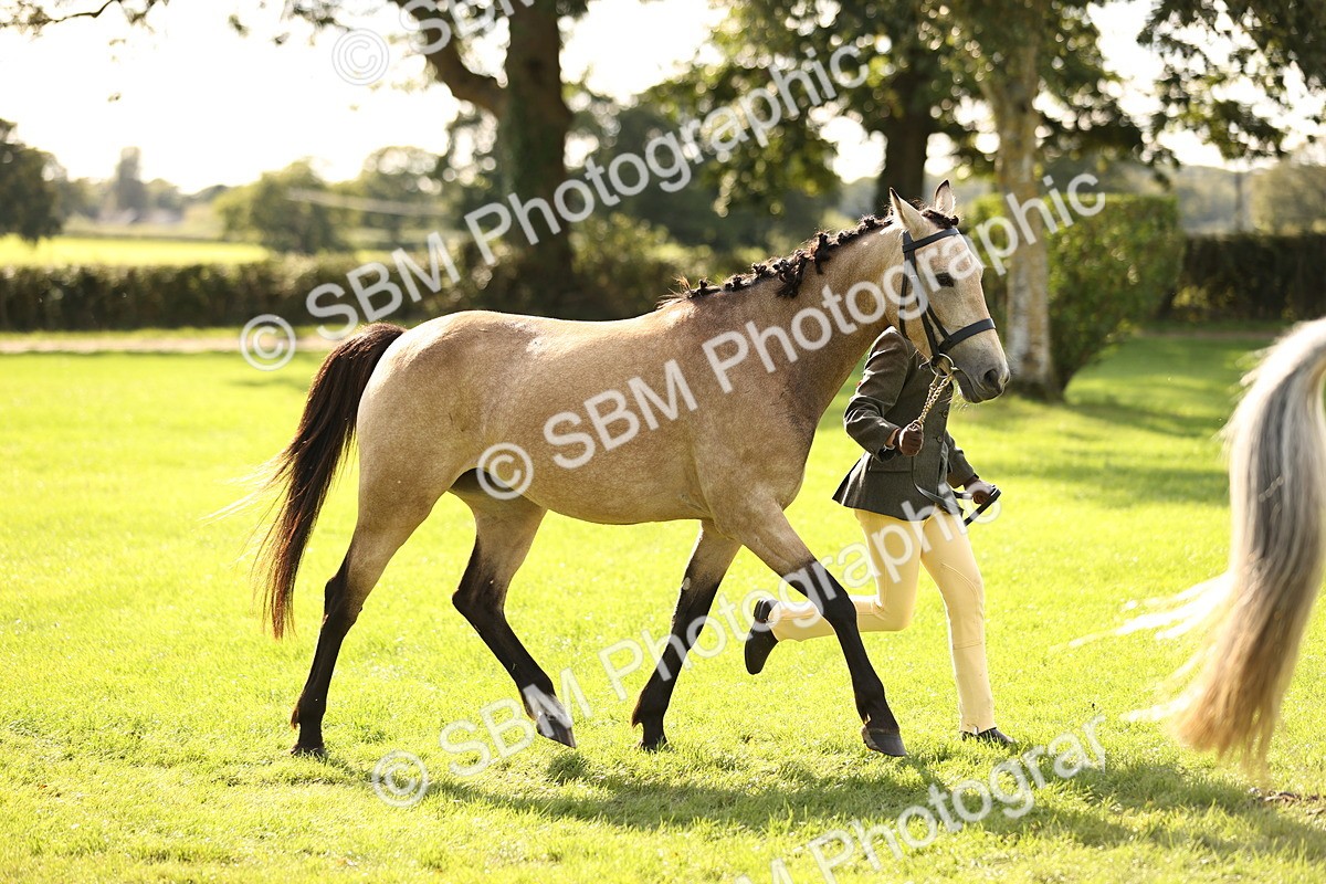 SBM_26315 - S5 - Novice & Newcomers In Hand
