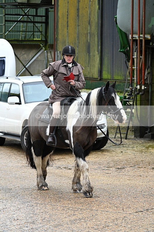 WJ7_8750 - Berks & Bucks - Rowles Farm 15-02-26