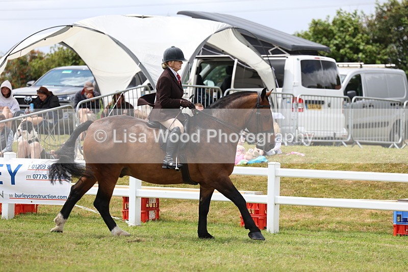 3E7A1927 - Class 10: Open Cob