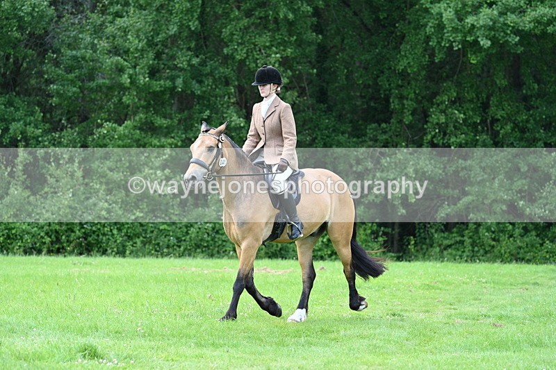 WJ7_2526 - Class 12A Coloured Class