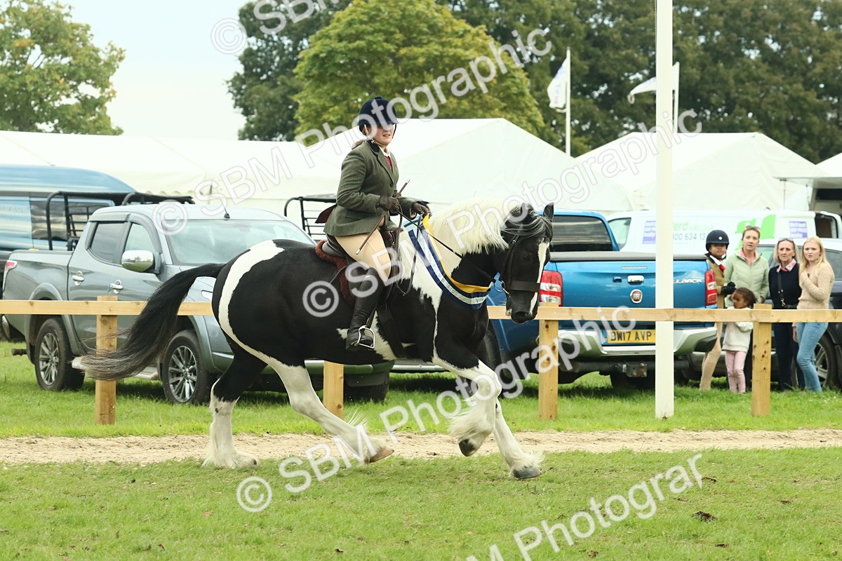 SBM_75172 - Super Supreme Championship