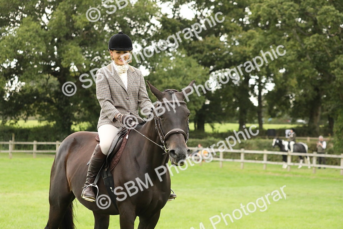 SBM_73810 - S41 - Ridden Equitation (Best Rider)