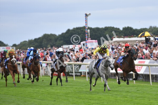 yr17082022r5-46 - Race 5 4.10pm Sky Bet Stayers Stakes