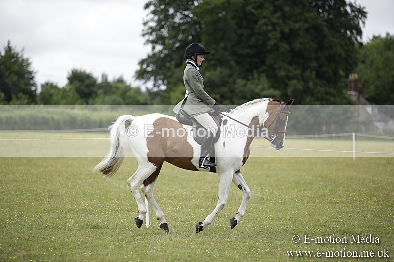 BVR160717-1881 - Ring 1 BVRC Show 16/07/17