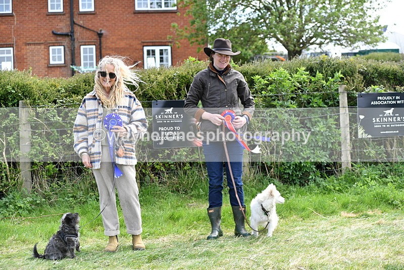 WJ5_0856 - Best in Show Championship
