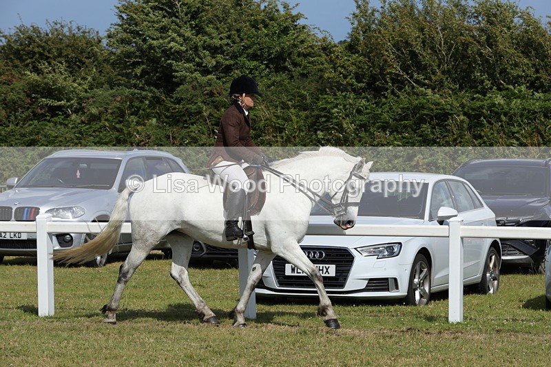 1X9A5844 - Class 41:. NPS New Forest & Connemara