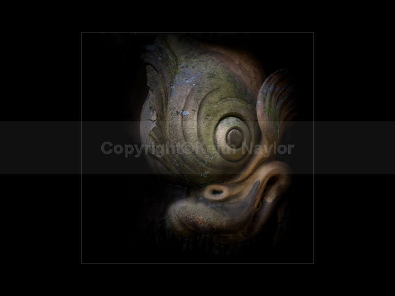 Stonefish - Latest Work