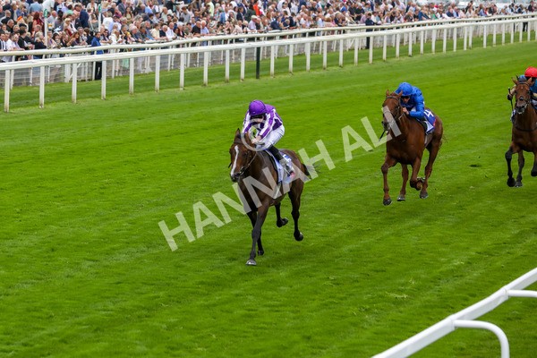 230823-Race 3-Continuous-4203 - Race 3 3.00pm Sky Bet Great Voltigeur Stakes