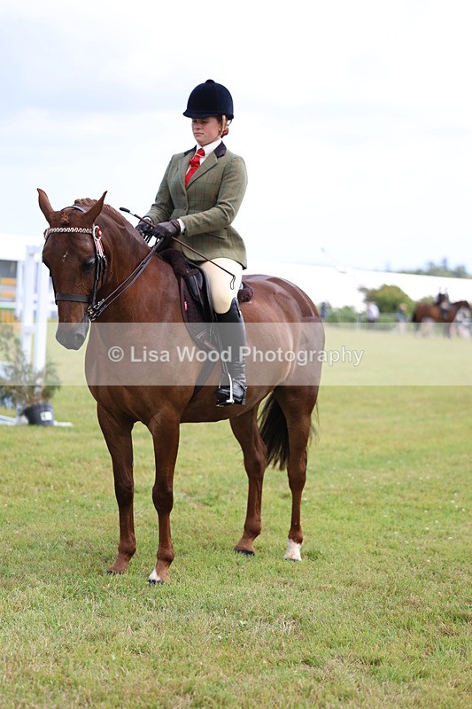 3E7A1246 - Class 8: Open Riding Horse/Hack