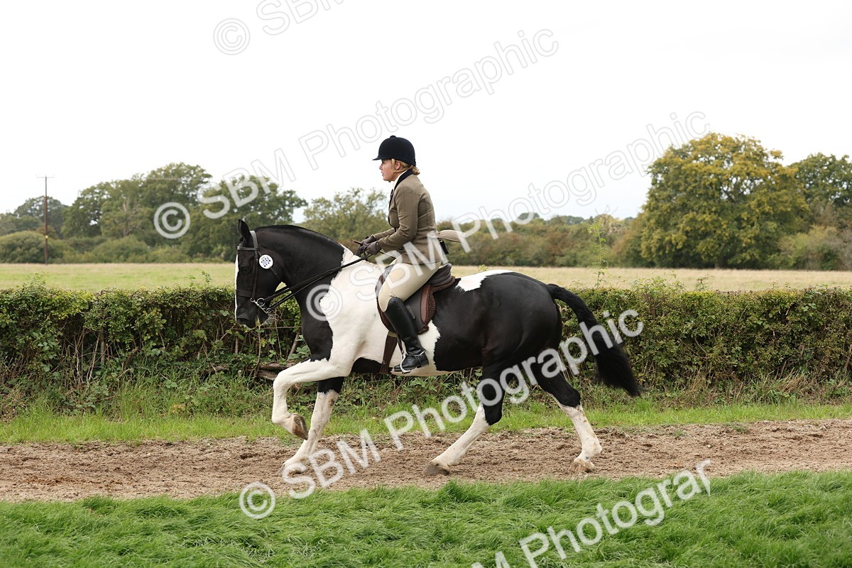 SBM_67263 - S67 - Piebald & Skewbald Horse Ridden