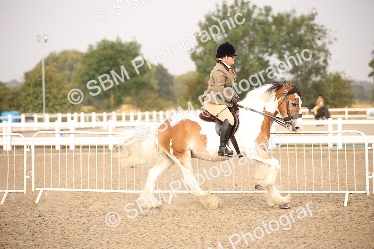 SBM_10206 - Class 402 Riding Club Horse