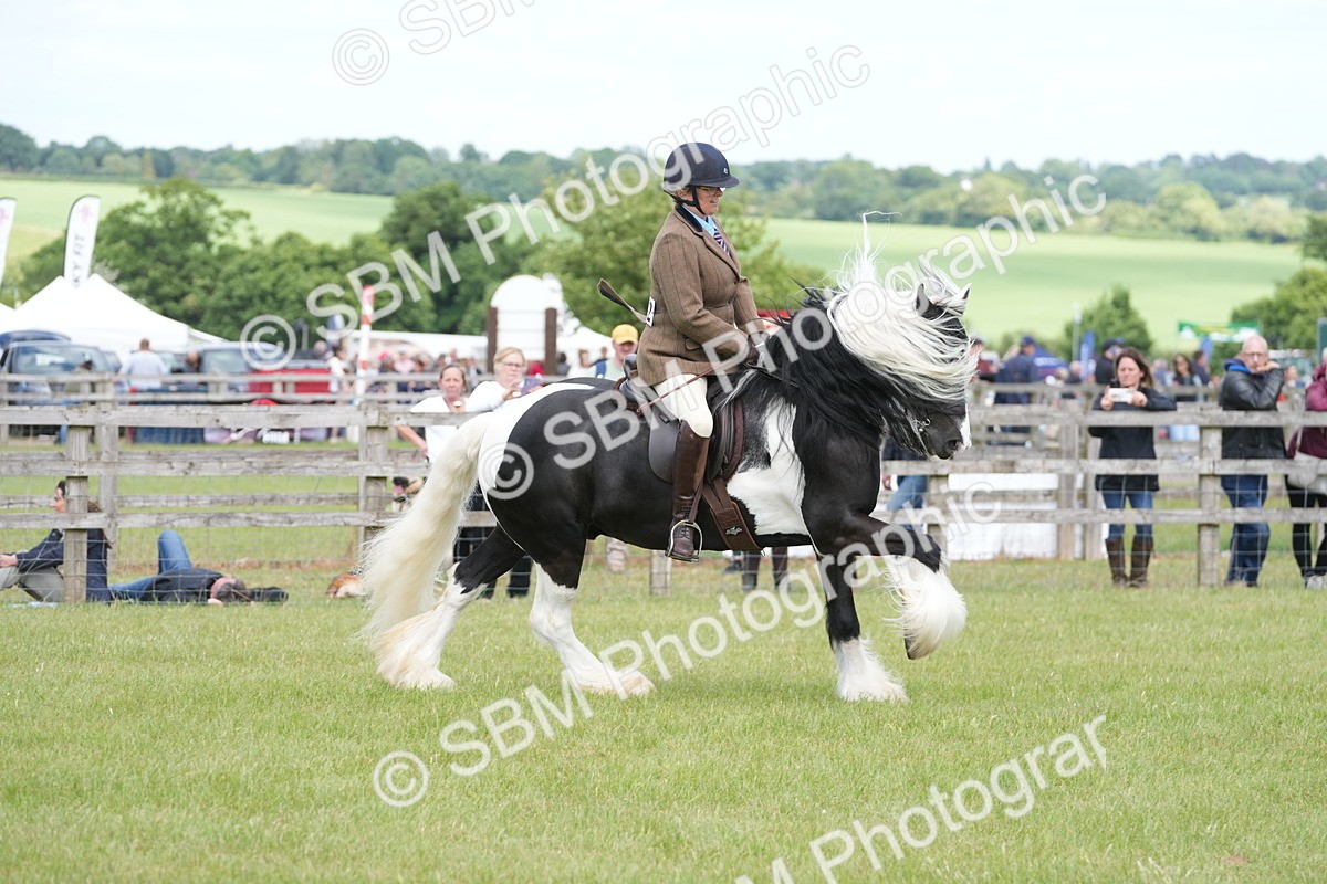 SBM_17279 - Class 107-108 - LIHS BSPS Performance Coloured Horse Pony