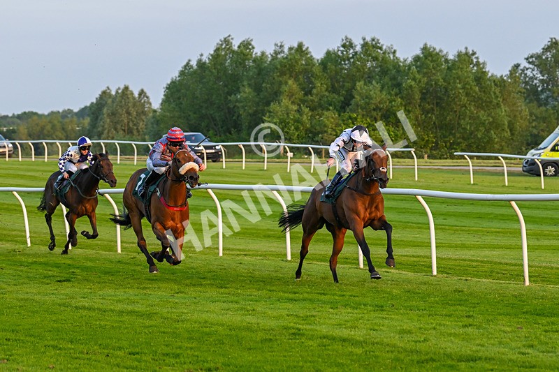 310524-Race 5-Dusk Dame-8922 - Race 5