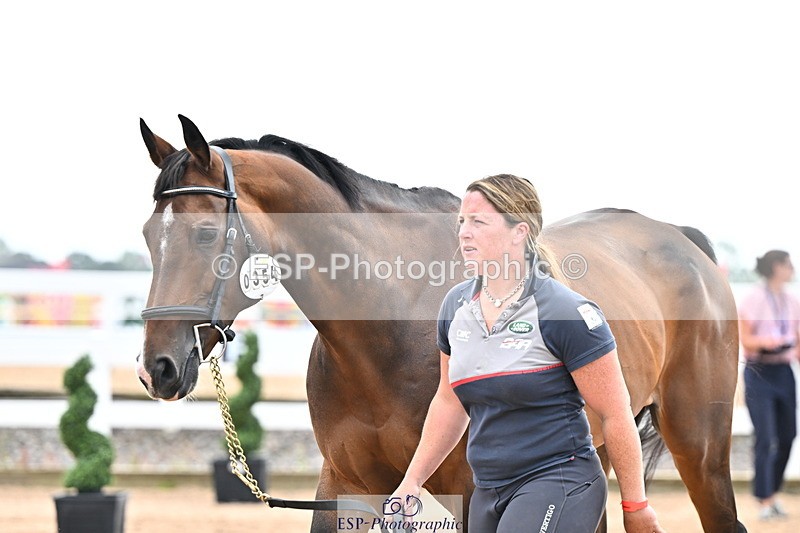 240718A-105326-02017 - Trot Up 2pm to 3pm - This folder is not in time order