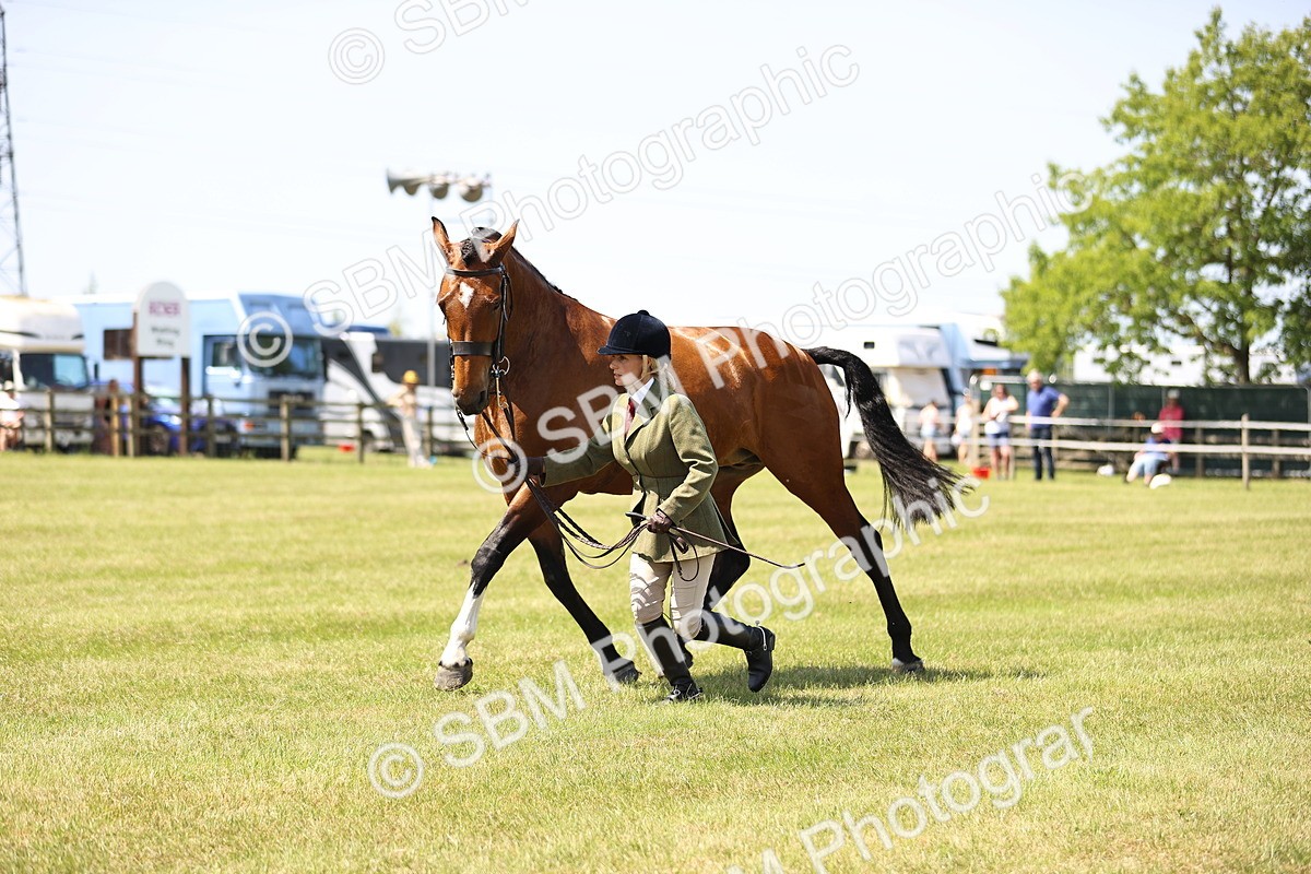 SBM_15220 - Class 79-80 - LIHS BSHA Rising Star Ridden Hunter