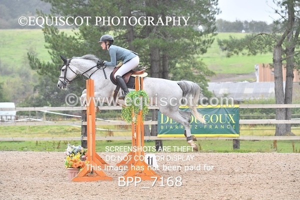 BPP_7168 - CLASS 4 Senior Newcomers/ 1.10m Open