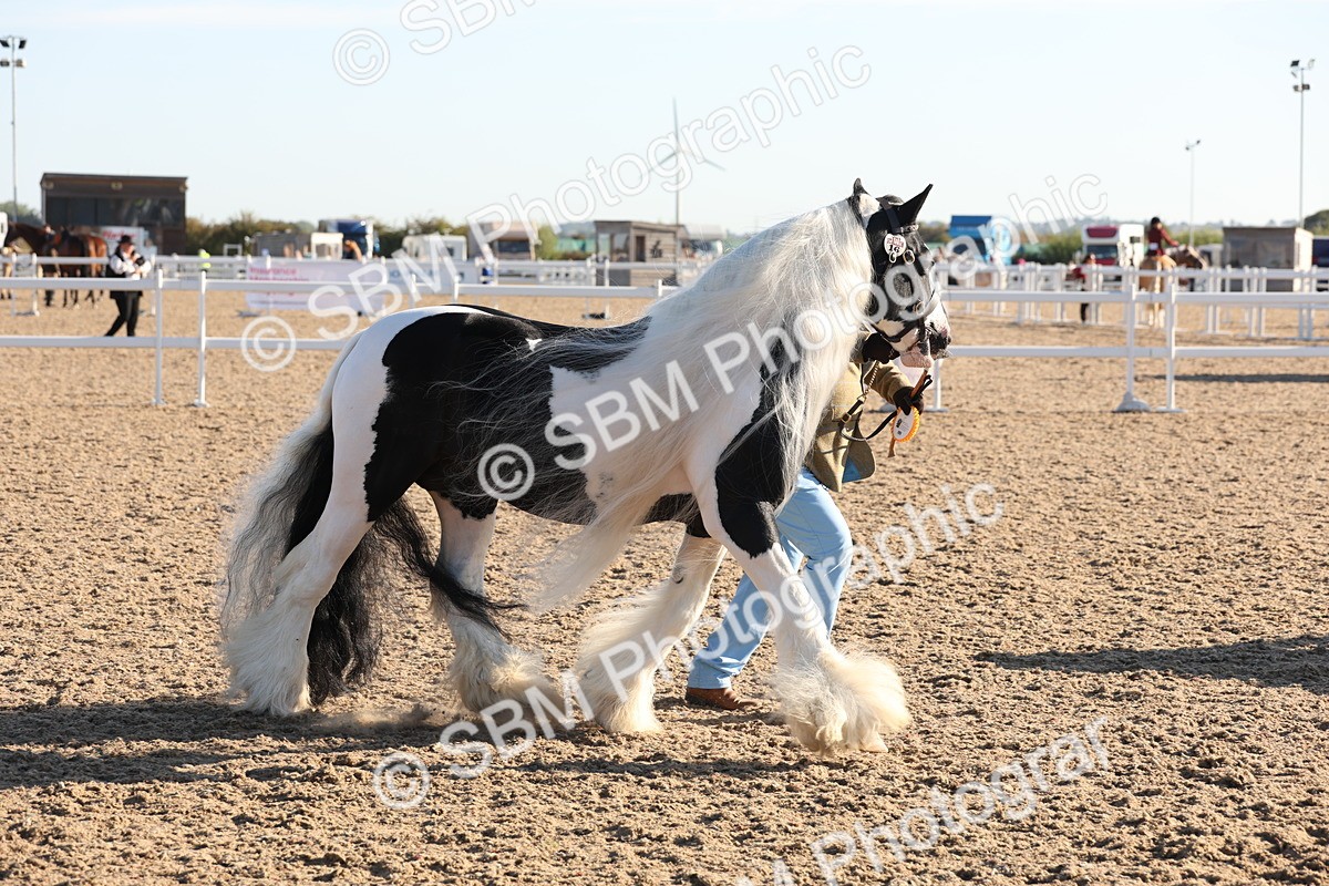 SBM_10815 - Class 201 - Best Turned Out - IH