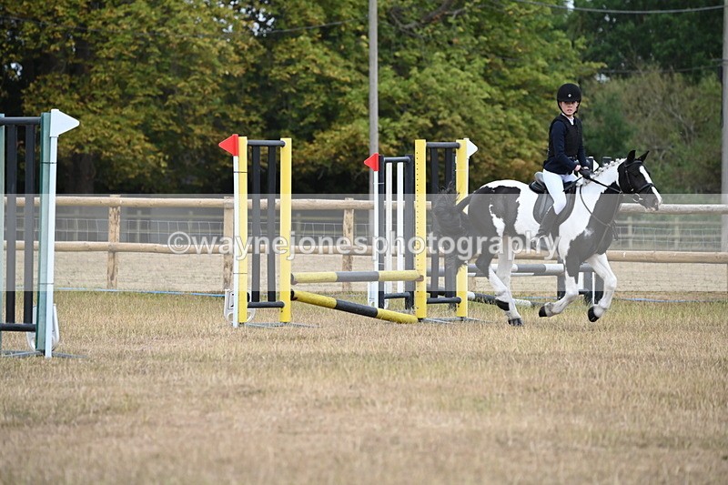 WJ6_0131 - Class 13 Novice Jumping 60cm