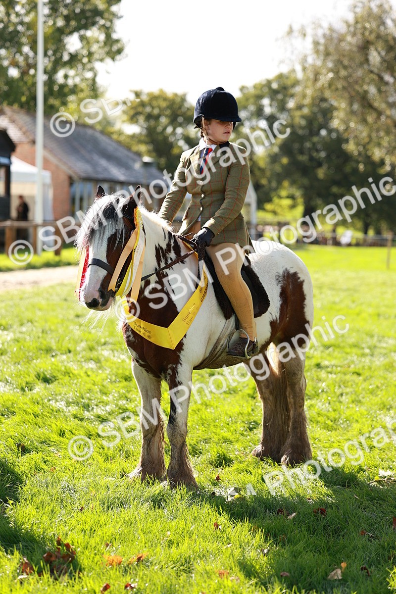 SBM_42187 - S32 - Mountain & Moorland Working Hunter Pony