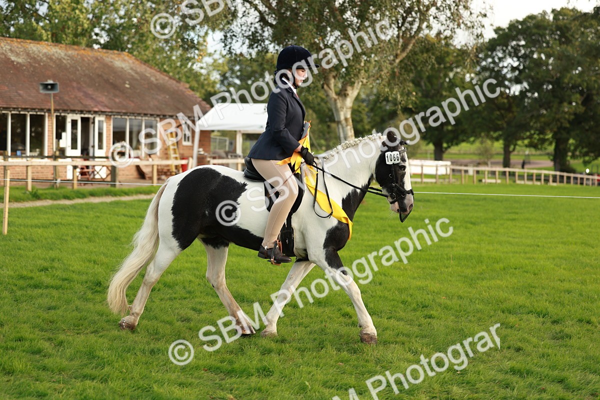 SBM_28928 - S7 - Novice & Newcomer Ridden Pony