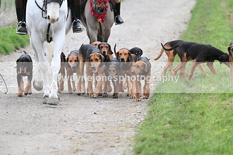 WJ7_1195 - Walk Home