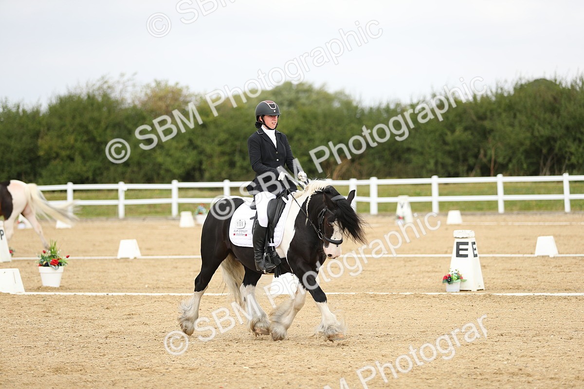 SBM_016447 - Class 13 - Novice 23 - 11.25-12.35