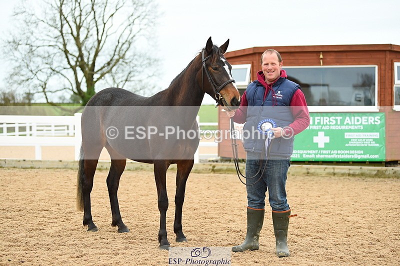 230416A-140912-04755 - Cls 46+43 In Hand Warmbloods and Foreign