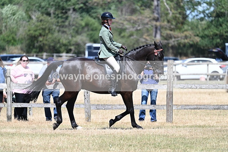 WJ7_3595 - Class 8 Ridden Veterans