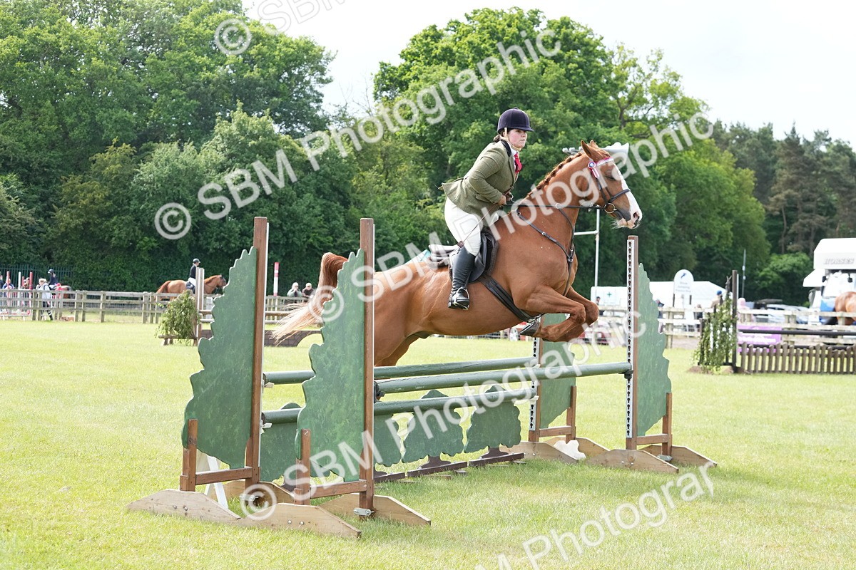 SBM_12905 - Class 99 - RIHS SEIB Working Show Horse