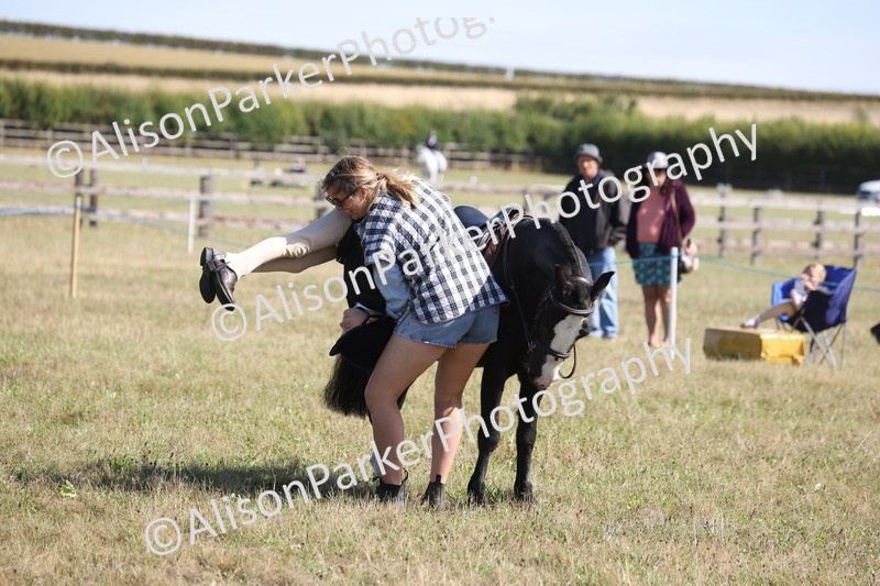 20260906-2208 - Class 16 - Family Pony