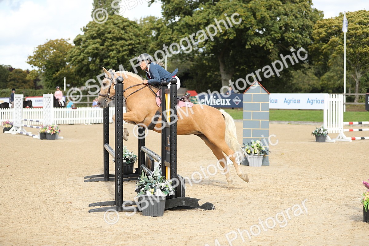 SBM_08450 - J30 - Senior Horse & Pony 70cm Championship