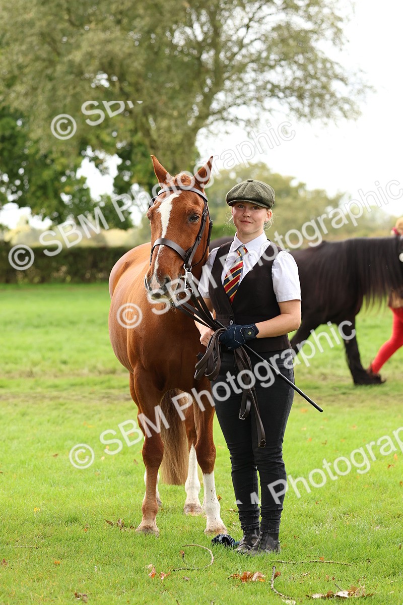 SBM_39515 - S24 - Young Veteran In Hand