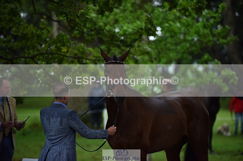 240522-162224-00868 - 275-SFS_ARRANO-Roberto_Scalisi