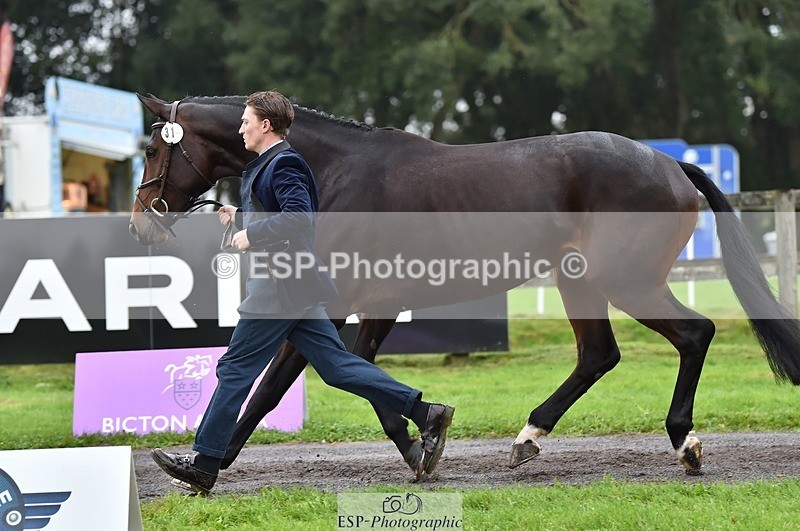 231018-122222-00244 - 031-ARIELLA-Morgan.Wyatt-TrotUp