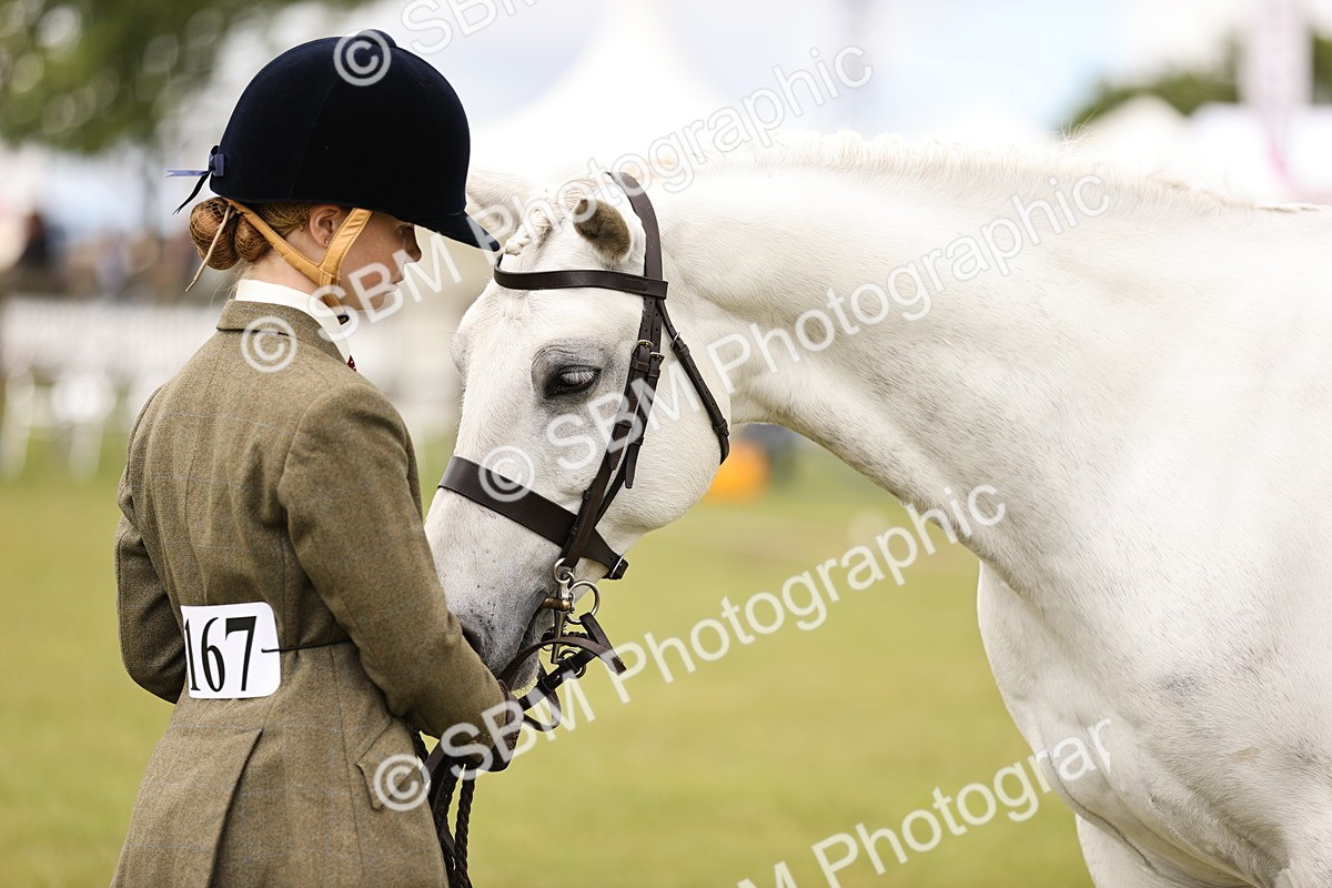 SBM_14614 - Class 88-89 - LIHS BSHA Rising Star of Ridden Hunter Type