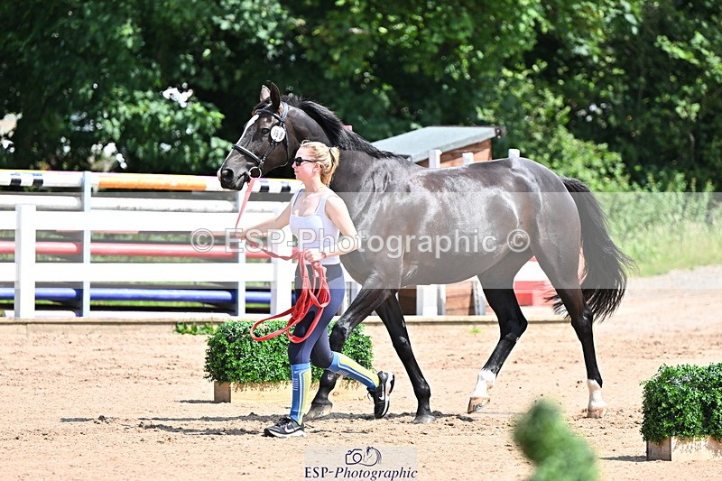 240718A-105243-01061 - Trot Up 11am to 12pm