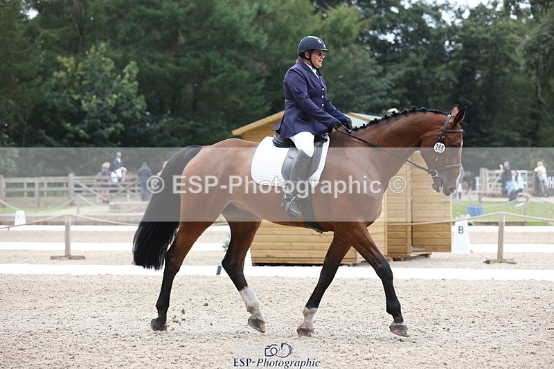 230812-120538-03925 - Cls 5 Novice Bronze 11.15 to 12.50 break
