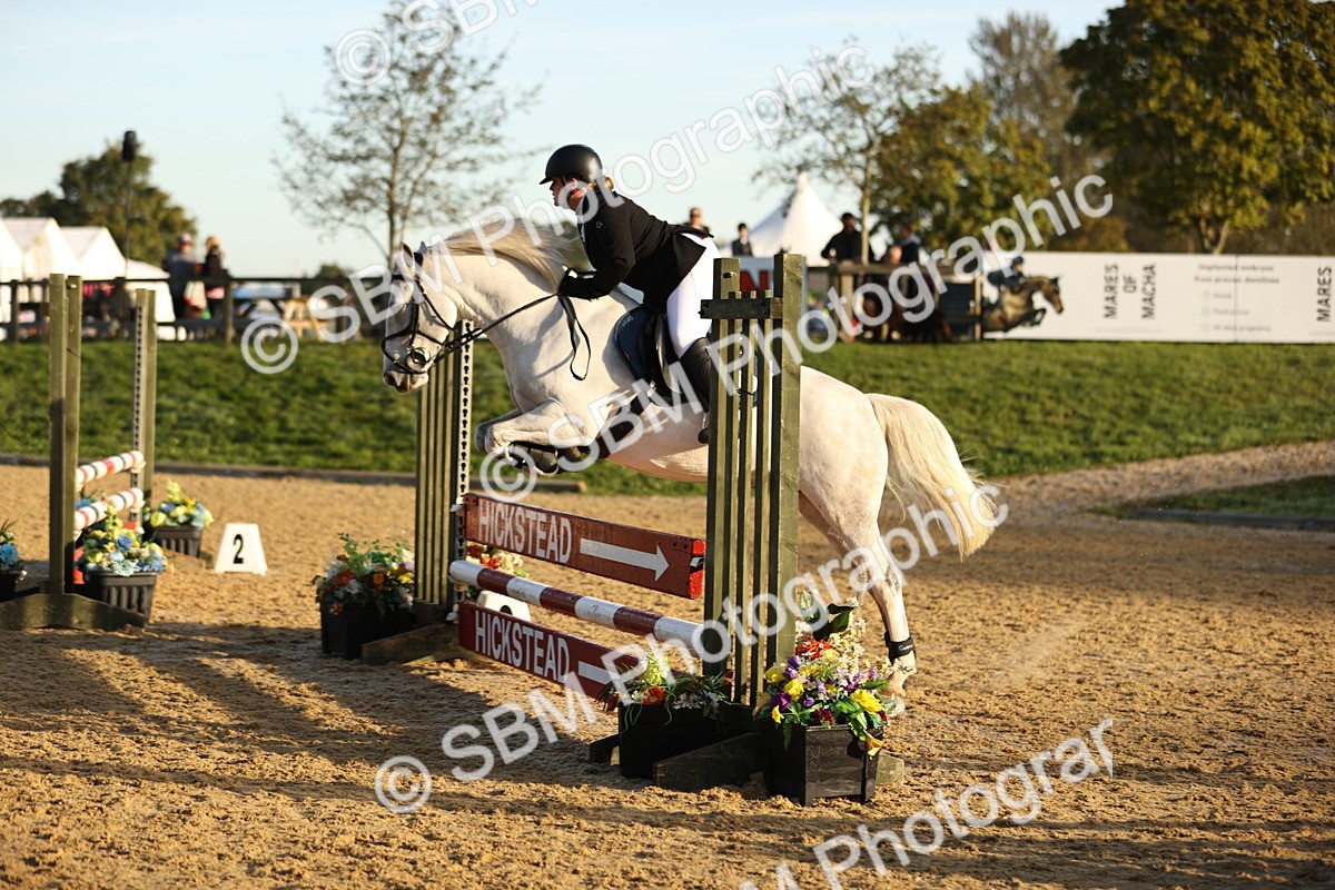SBM_32996 - J38 - Senior 80cm Championship