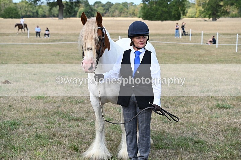 WJ6_6695 - Class 20 In-hand Cob